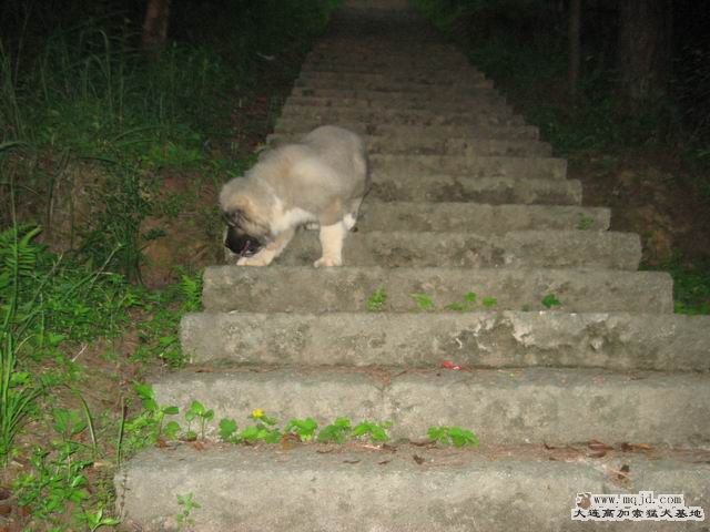С IMG_4737.JPG