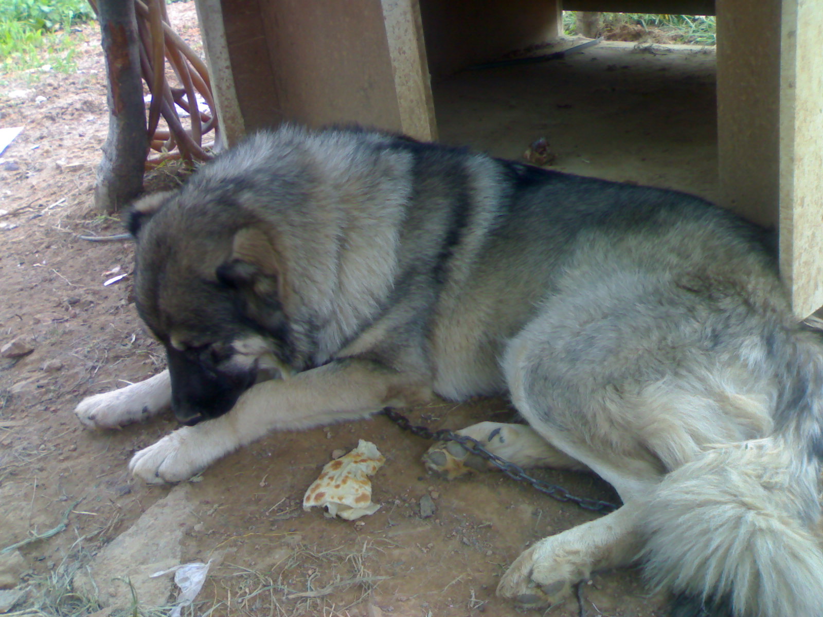 20071013145.jpg