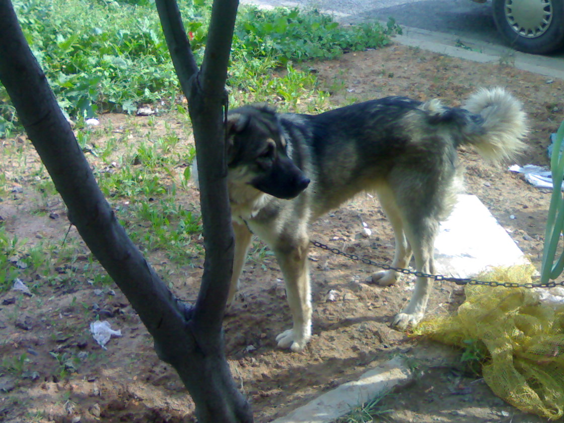 20071013149.jpg
