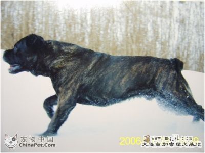 2007228058980777.jpg