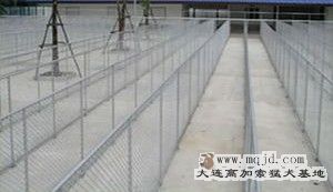 20070320_c7b78c671bf9a4bb9a12j5v4dsQXHd3o.jpg