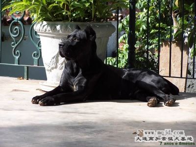 zila7,8anos_2g9Wk53AkuMc.jpg