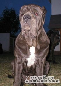 2005911315326.jpg