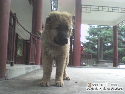 쿴