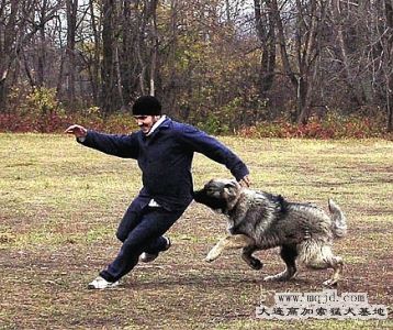 200511161157260.gif