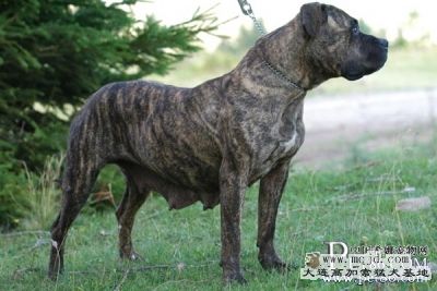 mareDSC_0143-malorquin_2mL14Mm9LQtB.jpg