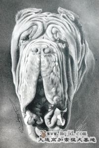 vanna16.jpg