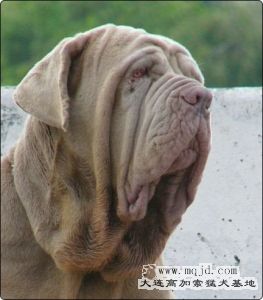 ryelc.500x500.jpg
