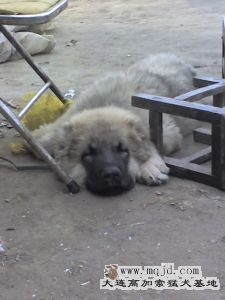 04-11-07_1503.jpg