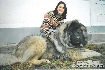 120.jpg