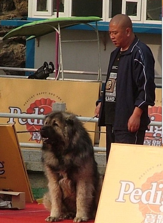 QQͼ20130923172354.jpg