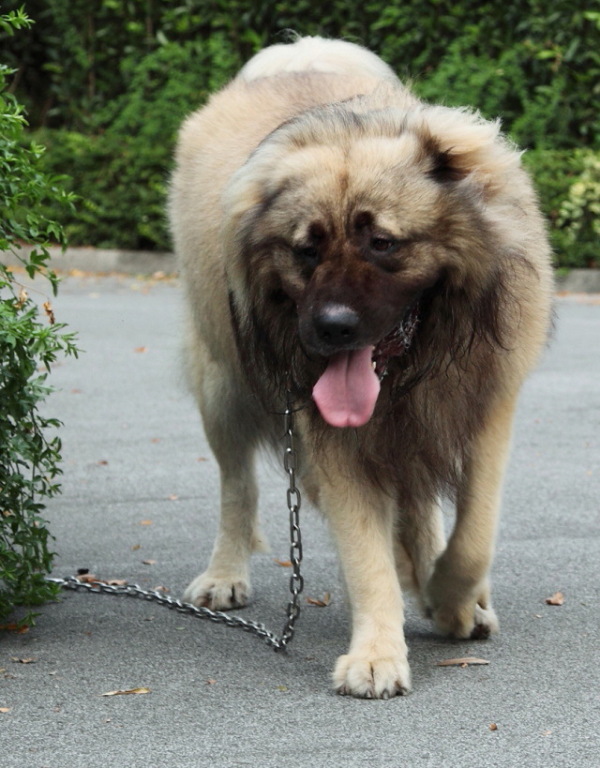 20130725_4yr8m_005b_HD.JPG