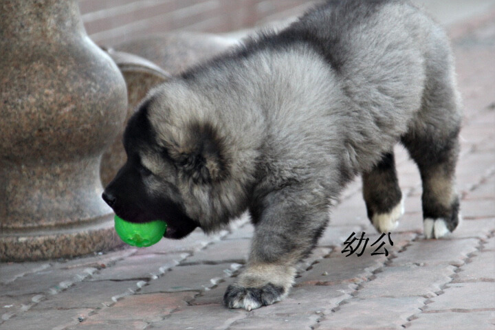 IMG_5284.JPG