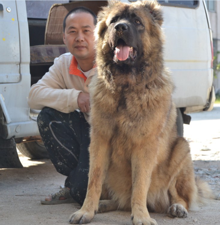 QQͼƬ20131117200232.jpg