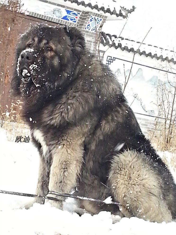 20131219_125612.jpg
