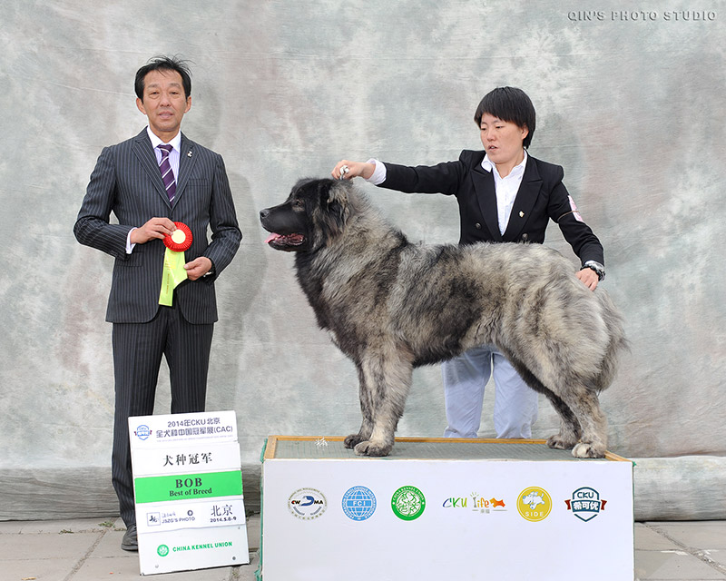 QIN-1533-0051-1700w.jpg