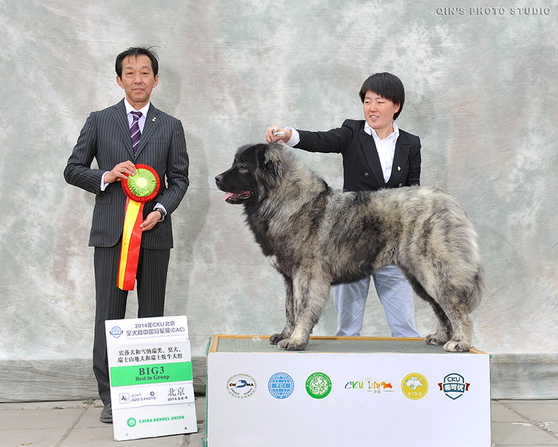 QIN-1533-0055-1700w.jpg