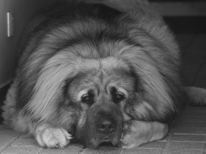 20140502_5yr5m_001bk_Z1.JPG