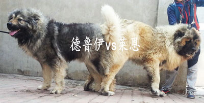 QQͼƬ20150421132612.jpg