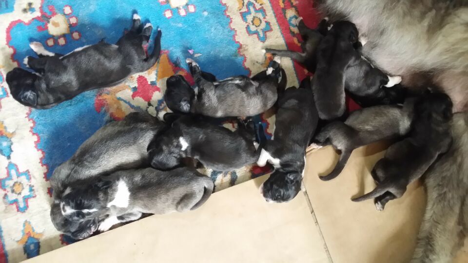 QQͼƬ20150802183005.jpg