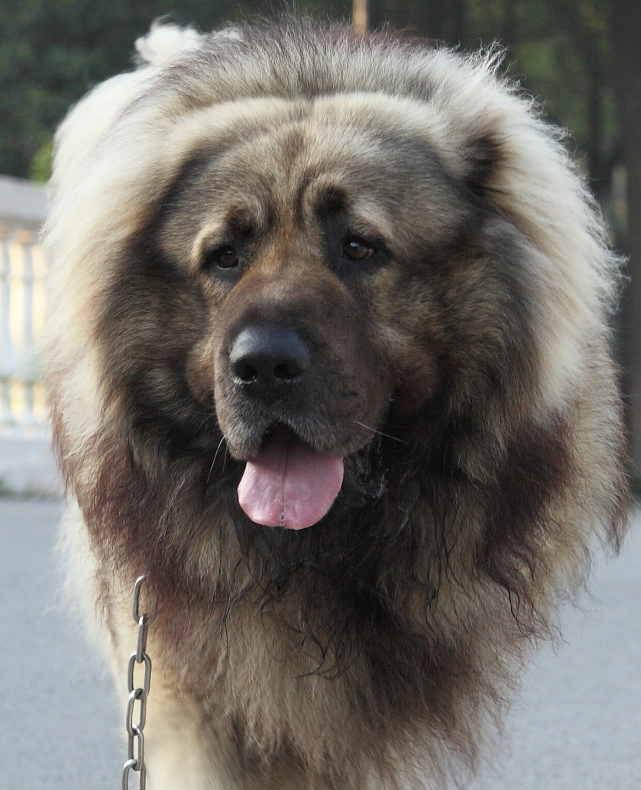 20150415_6y5m_020b.JPG