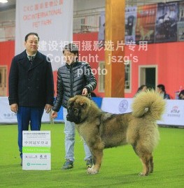 QQͼ20130320090754.jpg