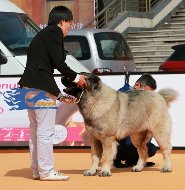 AACAC8DA@6C8A7615.4FAC1D57_recompress.jpg