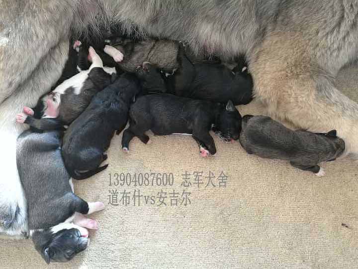 QQͼƬ20161227205738.jpg