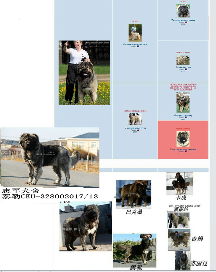 IMG_2971.PNG