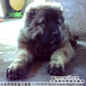 IMAG0079.jpg