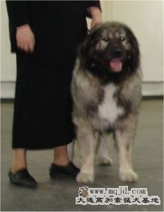 124.jpg