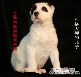 DSCF1848.JPG