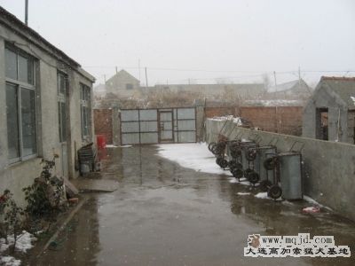 IMG_0796.jpg