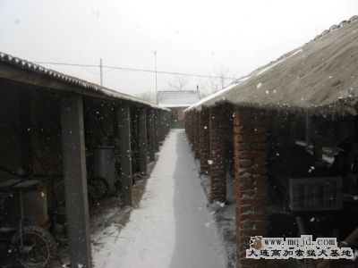 IMG_0789.jpg