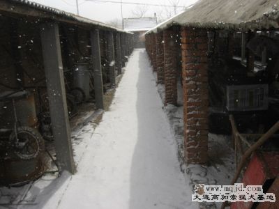 IMG_0788.jpg