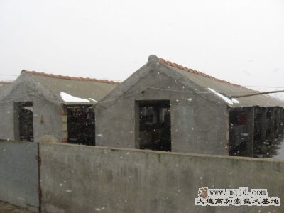 IMG_0797.jpg