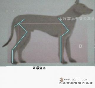 ce 1.jpg