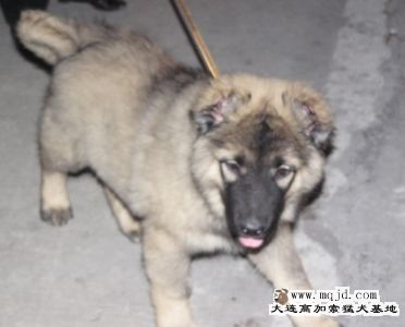 20071209_70bbd8ee4c4f10a5a291KyXpODgBkAy6.jpg
