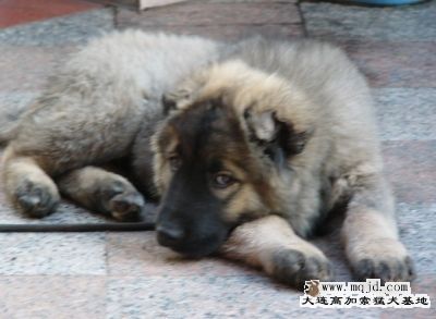 20071130_ed06bfb6b167909d677eXRpiKclHurMq.jpg