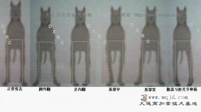 qian a.jpg