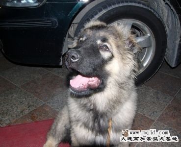 20071209_f1dcd7920d9085c06bbchv18Gg0YF0AM.jpg