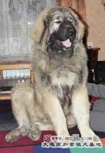 194.jpg