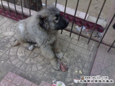 20080224062.jpg