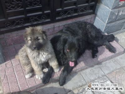 20080209054.jpg