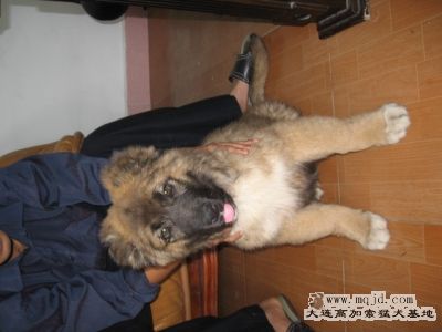 Ƭ 028.jpg