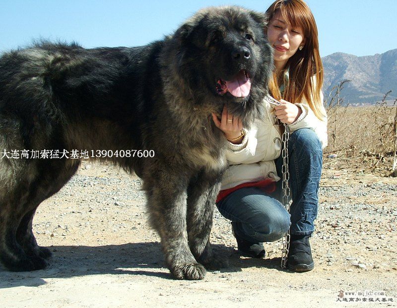 DSCF2576.JPG