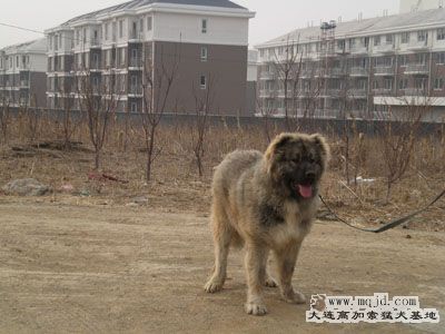 CIMG2013.jpg
