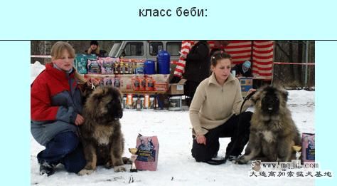 52.jpg