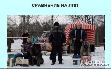 51.jpg