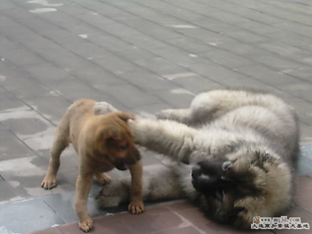 PIC_0077.JPG